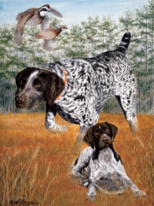 WHEN I GROW UP - German Shorthaired Pointer